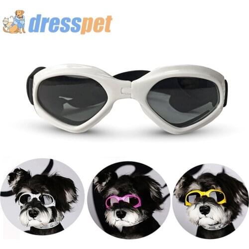 Dresspet Dog Accessories