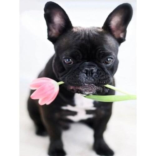 5D DIY Crystal Mosaic Set Diamond Painting Full Drill Square Dog Tulip Diamond Embroidery Animals Flower Modular Pictures Gifts