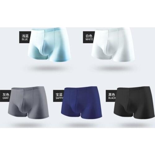 5PCS Mens Underwear Boxers Lot Pack Ice Silk Transparent Seamless Panties Sexy Men Boxers Pack Breathable Solid Male Long Boxer