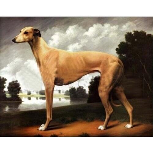 100%HIGH QUALITY ANIMAL OIL PAINTING ON CANVAS : "DOG"