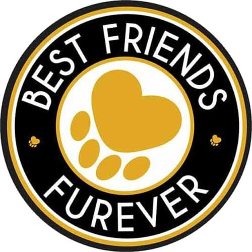 13cm x 13cm for Best Friends Dog Logo Car Stickers JDM Vinyl Air Conditioner RV VAN Fine Decal Accessories Graphics