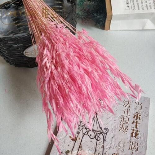 2pcs Oatmeal Dried Flower Bouquet Ins Decoration Home Decoration Valentines Day Creative Gift wedding flowers