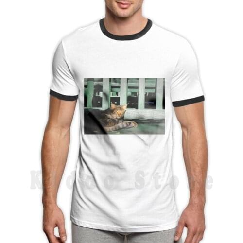 Sleepy Cat T Shirt Men Cotton Cotton S-6Xl Sleep Cat Animal Sunshine Lie Down Green Bench Shadow