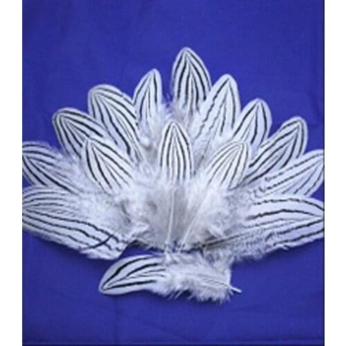 Wholesale 20pcs nature silver chicken feather 5-10cm/2-4inch Decorative diy collect