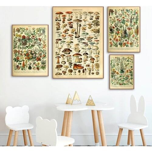 Nordic Retro Plant Flower Illustrated Picture Antique Old Book Page Printing Canvas Painting Home Living Room Study Decor Poster