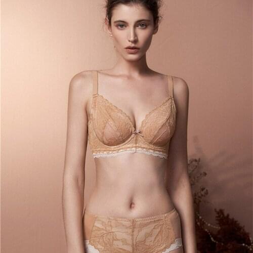 2020 New Sexy French Deep V Bra Set Embroidered Lace Gather Comfortable Adjustable Bra Set Mesh Transparent Lady Underwear Set