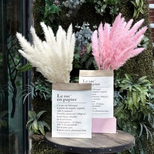 15PCS/Length Bulrush Natural Dried Flowers Small Pampas Grass Artificial Plants Real Fleurs Sechees Home Wedding Decoration