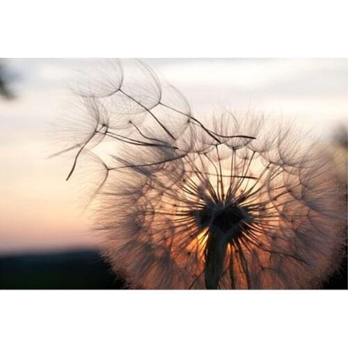 2019 New Full 5D Diy Diamond Painting Cross Stitch Sunset Dandelion 3D Diamond mosaic Square Rhinestone Picture Embroidery