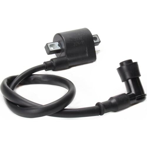 Motorcycle Ignition Coil for Kayo Apollo Bosuer Xmotos Zongshen loncin Shineray lifan 250cc Dirt Bike Motocross ATV Quad
