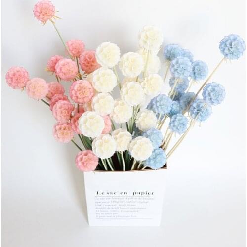 10 heads Dried Flowers Spring Decoration Natural Decorative Party Decoration DIY Crafting Accessories Dried Fruit Rustic Decor W