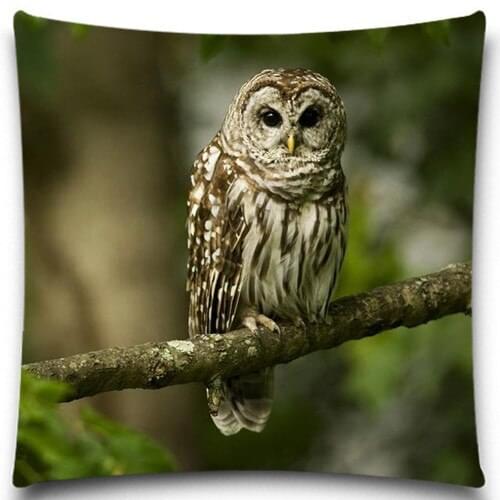 Animal Decorative Pillow case Owl Style Lucky Pillow Cover Waist Home Office Coffee Supplies Cushion Cover