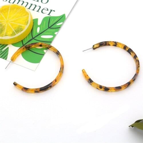 New Round Resin Hoop earrings Leopard Print Earring For Women accessories Girl Summer Earring Female pendientes