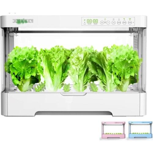 Oxygen Supply Electronic Water Cultivate Vegetable Seed Planting Enclosed Case Box Soilless Soil-Free Cultivation Equipment