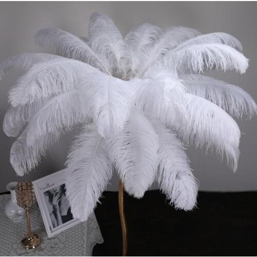 10pcs/lot Natural white Ostrich Feathers 15-75cm Colorful Feather Decoration Wedding Party Plumage Decorative Celebration