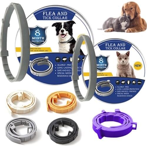 Removes Flea And Tick Collar for Dogs Cats Up To 8 Month Flea Tick Collar Anti-mosquito & Insect Repellent Breakaway Cat Collar