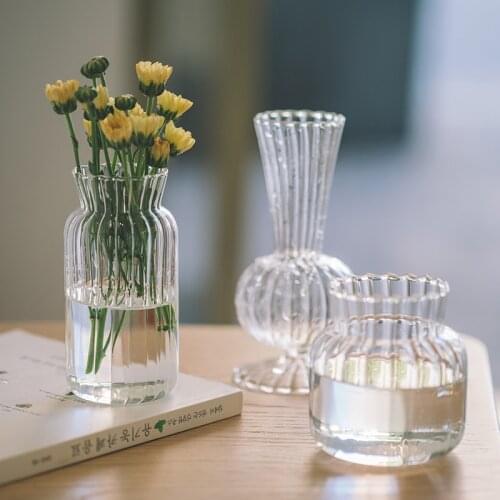 INS Home Decor Vase Minimalist Glass Vase Creative Hydroponic Flower Bottle Terrarium Glass Min Home Decor Vase Glass