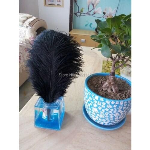 Hot! wholesale 50pcs Black ostrich feather wedding decoration DIY10-12inches / 25-30CM