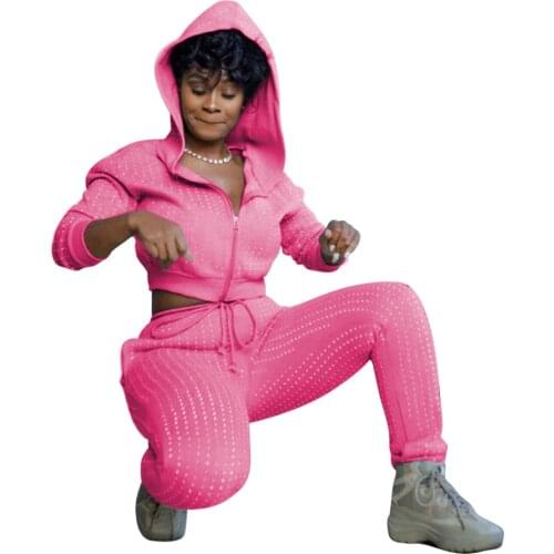 Casual Solid Women Two Piece Set Long Sleeve Hooded Zipper Jackets And Pencil Pants Sportsuit Tracksuit Women Female Outfits