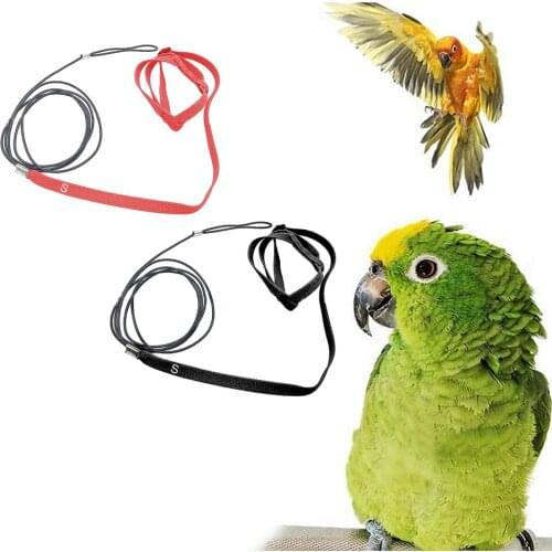 Behogar Adjustable Anti-bite Birds Leash Harness Training Rope for Quakers Sendgals Pigeons Medium Parakeet Macaw Size P/XS/S