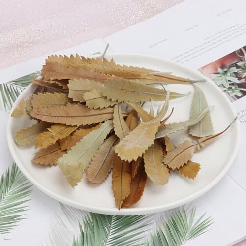 Natural DriednLeaf Preserved Plants Home Decoration Indie Room Decor DIY Material Artificial Flower For Wedding Decoration