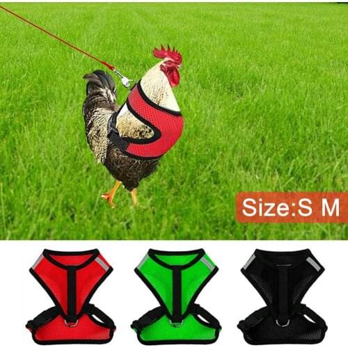 Pet Duck Chicken Poultry Chicken Clothes Chicken Vest Hen Belt Pet Harness Matching Collars Bow Poultry Supplies