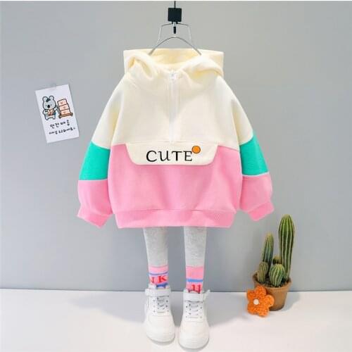 HYLKIDHUOSE Girls Clothes 2021 Autumn Baby Kids Clothing Sets Hooded Casual T Shirt Pants Toddler Infant Children Costume