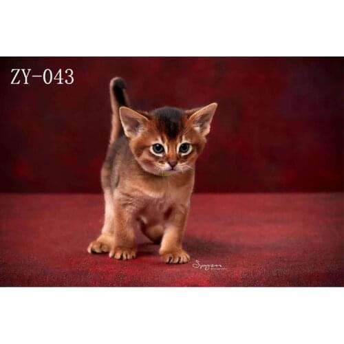 DAWNKNOW Pet Cat Photography Background Backdrop Red Uniquely Texture Painting Pro Tie-Dyed Muslin Photocall Photo Studio 2x3M