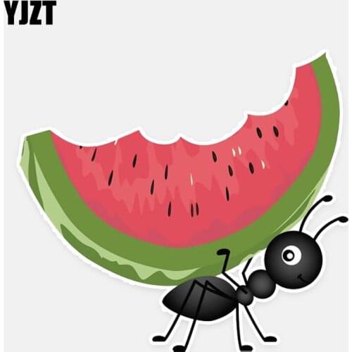 YJZT 13.5*12.3CM Lovely Watermelon Ants Decor Car Stickers Bumper Personalized 11A0669