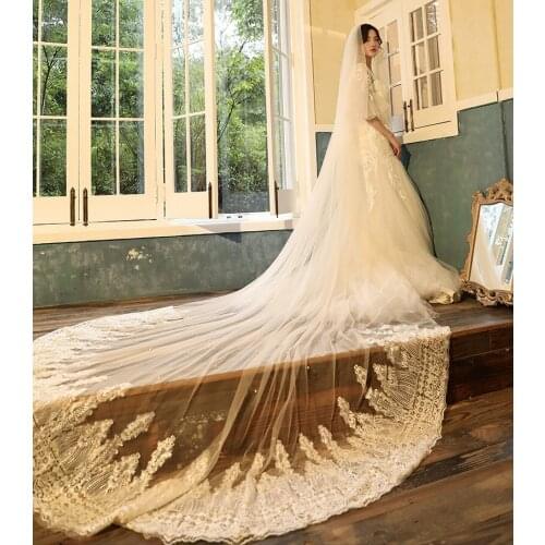 Champagne Wedding Veil 4 Meters Long Bridal Veils Pearl Applique One-layer Bride Wedding In Stock 2020