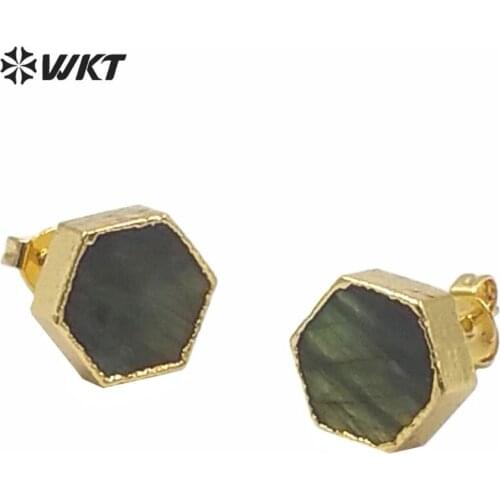 WT-E156 Lovely fashion earrings sparkly natural labradorite mix color stud stone gold strim wholesale jewelry earrings