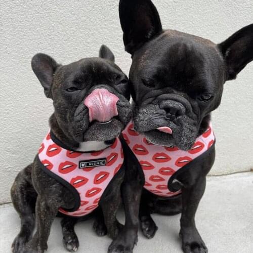 Fashion Red Lips Dog Harness No Pull Breathable Pet Harness and Leash Set French Bulldog Adjustable Light Vest Chests Straps