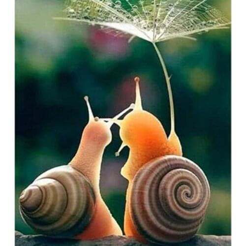 5D DIY Diamond Painting Square/Round Diamond Animal Painting Snail Forward Picture Cross Stitch Mosaic Home Decoration WG2843