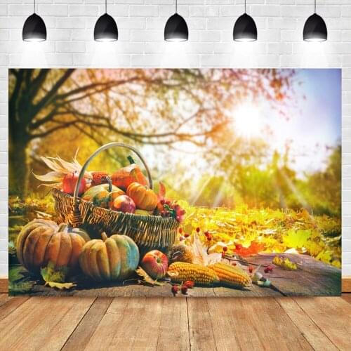 Autumn Bumper Harvest Pumpkin Corn Forest Falling Leaves Scenic Baby Child Portrait Shoot Photography Background Photo Backdrop