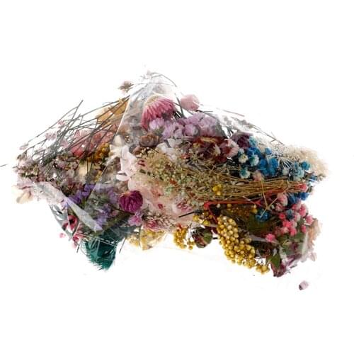 1 box DIY Dried Flowers Resin Mold Fillings UV Expoxy Flower For Nail Art Pressed Flowers For Home Decor Handicraft