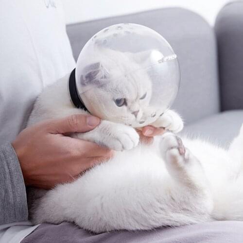Pet Recovery Mask Anti-lick/bite Cat Plastic Cover Novelty Breathable Supplies Adjustable Transparent Breathable Cover
