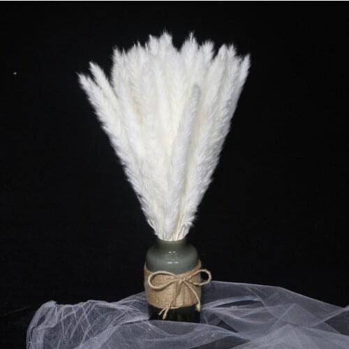 Dried Pampas Grass Decor Wheat Ear Dried Flowers Artificial Plants Beauty Health Pink Christmas Decoration Wedding Accessories