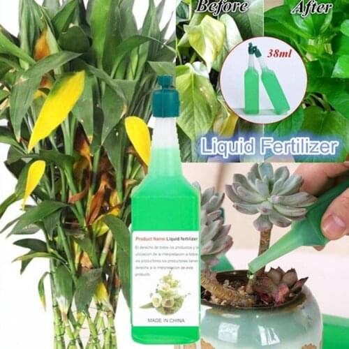 38ml/bottle Organic Castings Concentrate Fertilizer Olive Bonsai Tree Hydroponic Nutrient Solution Universal Potted Plant Tool