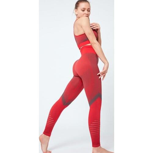 Women Gym Yoga Suits Sleeveless Bra High Waist Leggings portswear Clothing Outwear Running Quick Drying Fitness pants,ZF880