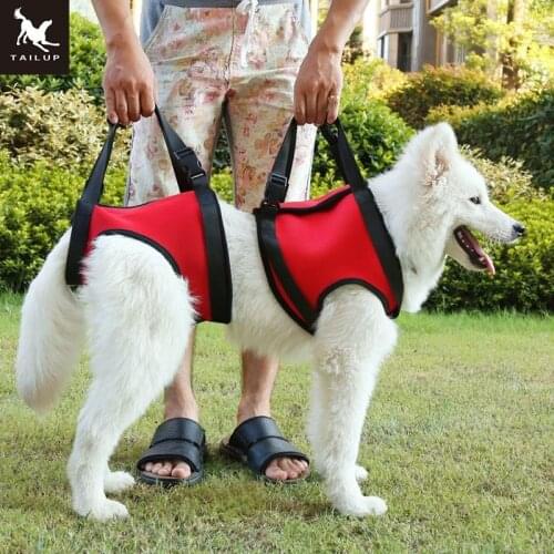 TAILUP Dog Lift Support Harness For K9 Aid Lifting Older Canine with handle for Injuries Arthritis or Weak Hind Legs And Foreleg