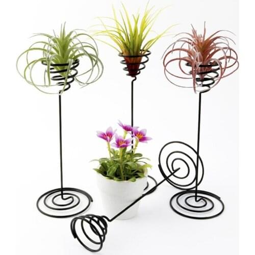 10pcs/lot Air Plant Stand Holder Black Iron Spiral Flower AirPlant Container Tillandsia Holder for Displaying Plant