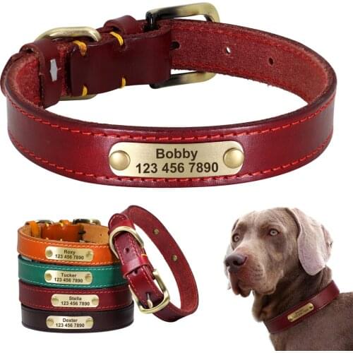 Personalized Leather Dog Collar Custom Dog Collars Leather Gold Buckle Pet ID Collar For Small Medium Large Dogs Dobermann