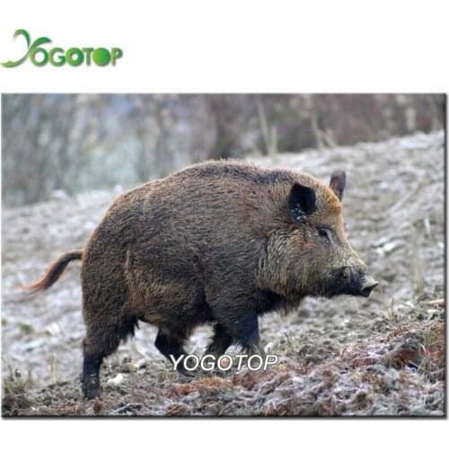 Diamond embroidery Wild boar full square round Diamond Painting Cross Stitch scenery Diamond puzzle Rhinestone Home Decor YY2449