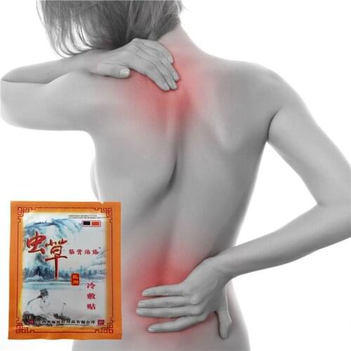 Chinese Medicines Cordycep Analgesic plaster Cold compress Patch Balm Medical Pain Relieving Plaster Use for Muscle Back Pain ar
