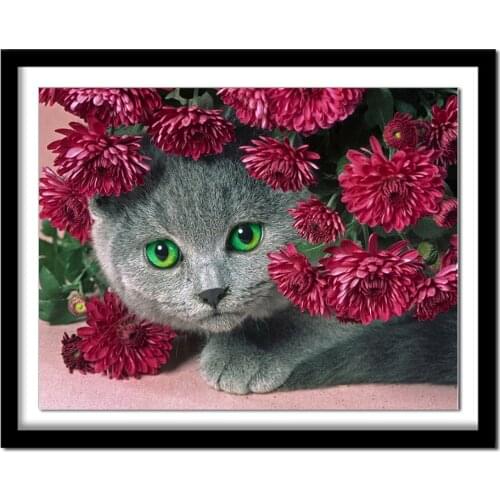 Diamant painting Diamond embroidery animals cat 5d diy diamond painting full square pictures of rhinestones 464DD diamond