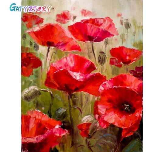 GATYZTORY DIY Painting By Numbers Poppy Flowers HandPainted Oil Painting Drawing On Canvas Adults Child Kill Time Home Decor