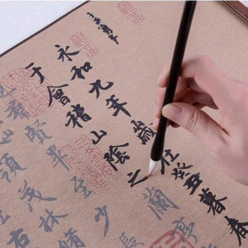 Lan Ting Xu Brush Water Writing Copybook Repeatedly Wang Xizhi Calligraphy Collection Running Script Copybook Caligrafia China