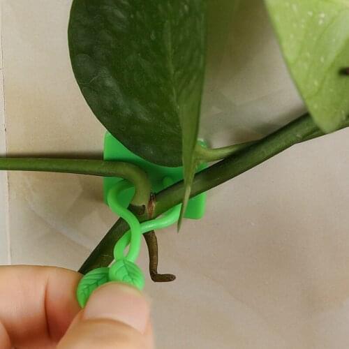 10 pcs Plant climbing wall Self-Adhesive Fastener Tied fixture Vine Buckle Hook Garden plant wall climbing Vine Clips Fixed