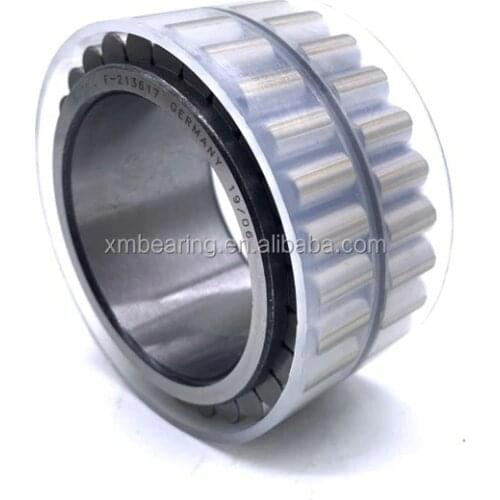 China Manufacturer Printing machine Bearing LINA Brand OEM Bearing Cylindrical Roller Bearing 608/9*H CS203