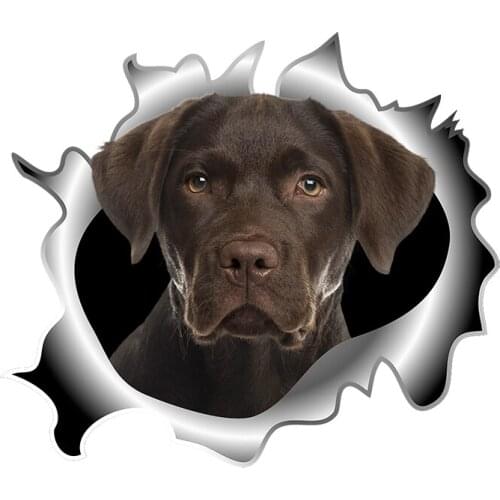 Three Ratels C518 Chesapeake Bay Retriever 3D Dogs Car Sticker wall stickers home decoration living room