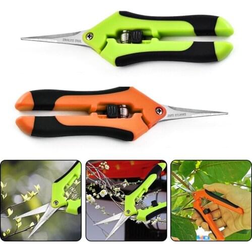 DIDIHOU Secateurs